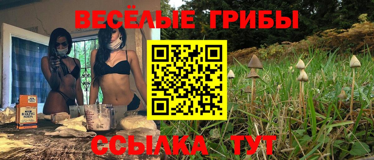 Якутск  Галлюциногенные грибы мицелий  Вход с VPN 